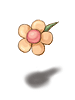 Visual de Flor Romântica