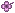 Violeta